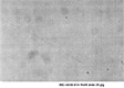 AFDIL Photomicrograph marked: '99C-0438-91A Roll 9 slide 28', depicting shaft and distal tip of hair