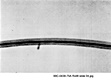 AFDIL Photomicrograph marked:'99C-0438-75A Roll 8 Slide 04.jpg', depicting hair shaft
