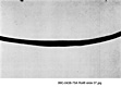 AFDIL Photomicrograph marked: '99C-0438-75A Roll 8 Slide 07.jpg' depicting hair shaft